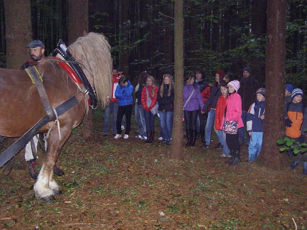 Den stromů